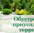 Объявляем фотоконкурс «Обустройство приусадебной территории» - Газета Новый путь